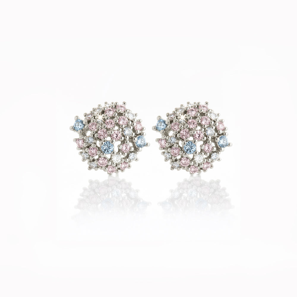 The Gala Night Cluster studs